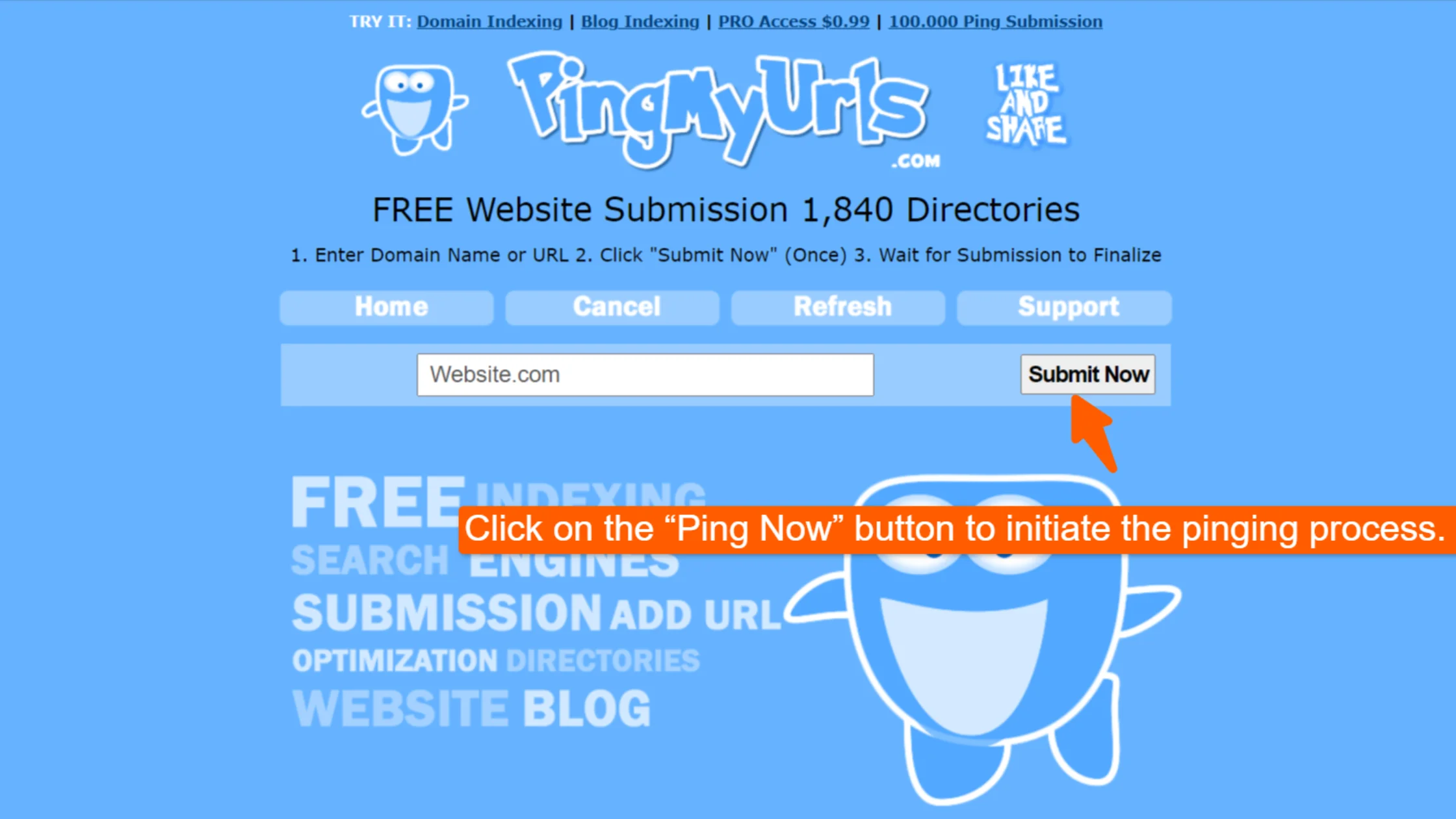 Click on the “Ping Now” button to initiate the pinging process